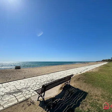Dorado Levante *