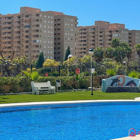 Dorado Levante *