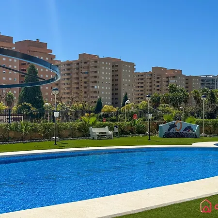 Dorado Levante *